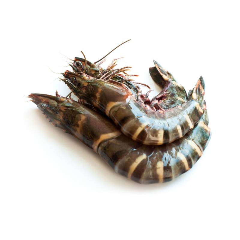 Tiger prawns